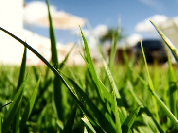 Implantação de Grama